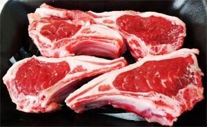 QA MEat Grinder
