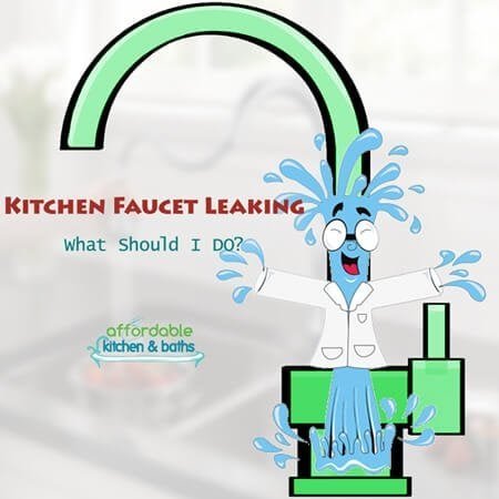 Kitchen Faucet Leaking Feature