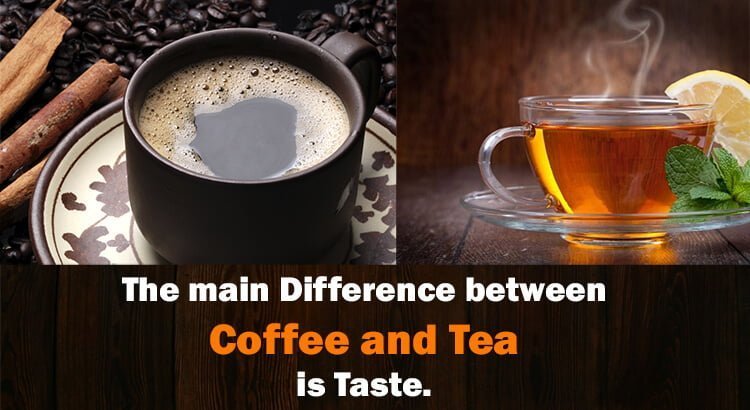 Coffee vs Tea