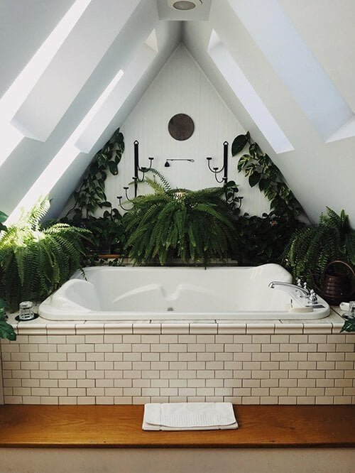 Plants- DIY Bathroom Update Plants DIY Bathroom Update