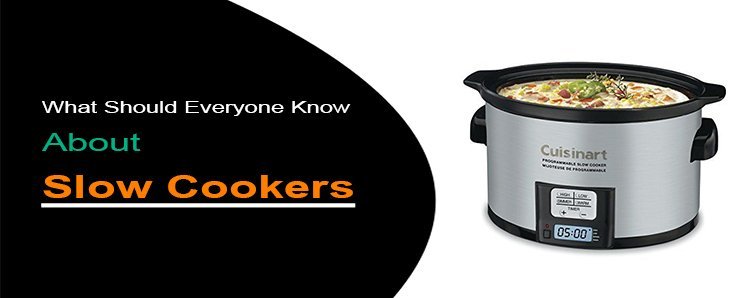 What Should Everyone Know About Slow Cookers