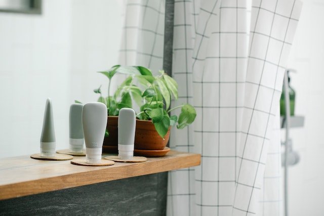 Bathroom indoor plant