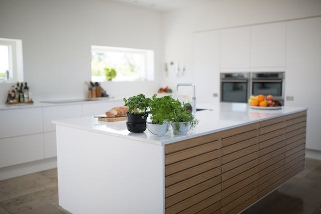 A pair of pots with plants on the kitchen island